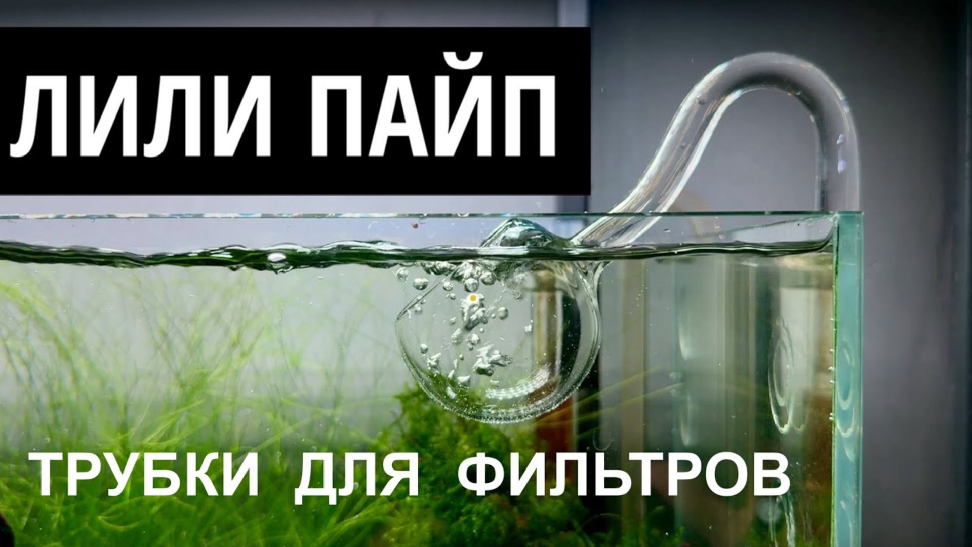 Лили пайп | Трубки для внешнего фильтра | Lily Pipe | Маша Блюм смотреть онлайн