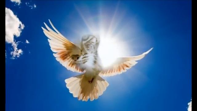 Deva Premal - On Ram Ramaya смотреть онлайн