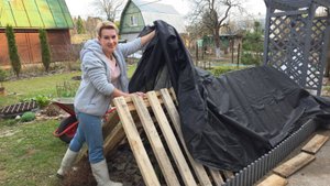 16 апреля ДАЧА | Открываю розы | ПРОЧЬ ТРЯПКИ | как сохранить ежевику | выгонка георгин