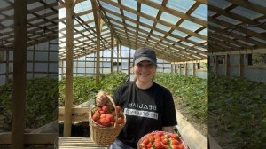 Как начать бизнес на своем участке с 5000 рублей