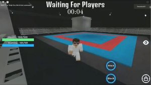 The Roblox Cobra Kai Experience