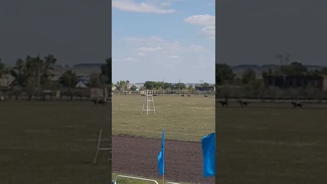 Байге Кокшетау 26.05.19г Аламан смотреть онлайн