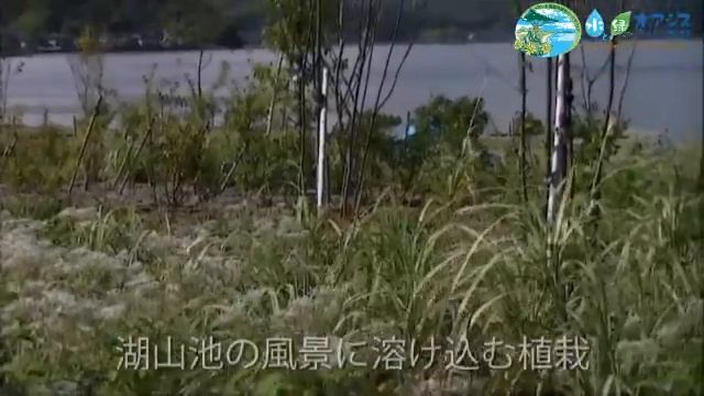 水と緑のオアシスとっとり２０１３ PR動画（２０１２．１１作成） смотреть онлайн