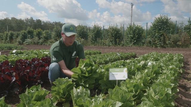 1 11 Лотус RZ смотреть онлайн