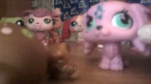 История Любви Петов ( мини сериал )LPS