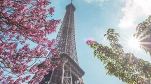 Кафе на улице Парижа - Demetrio