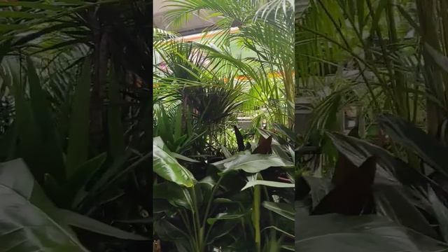 Ogród z OBI projekt aranżacjawnętrz taras balkon new decoration