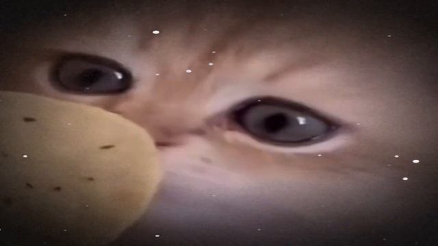 Антоха дрова смотреть онлайн