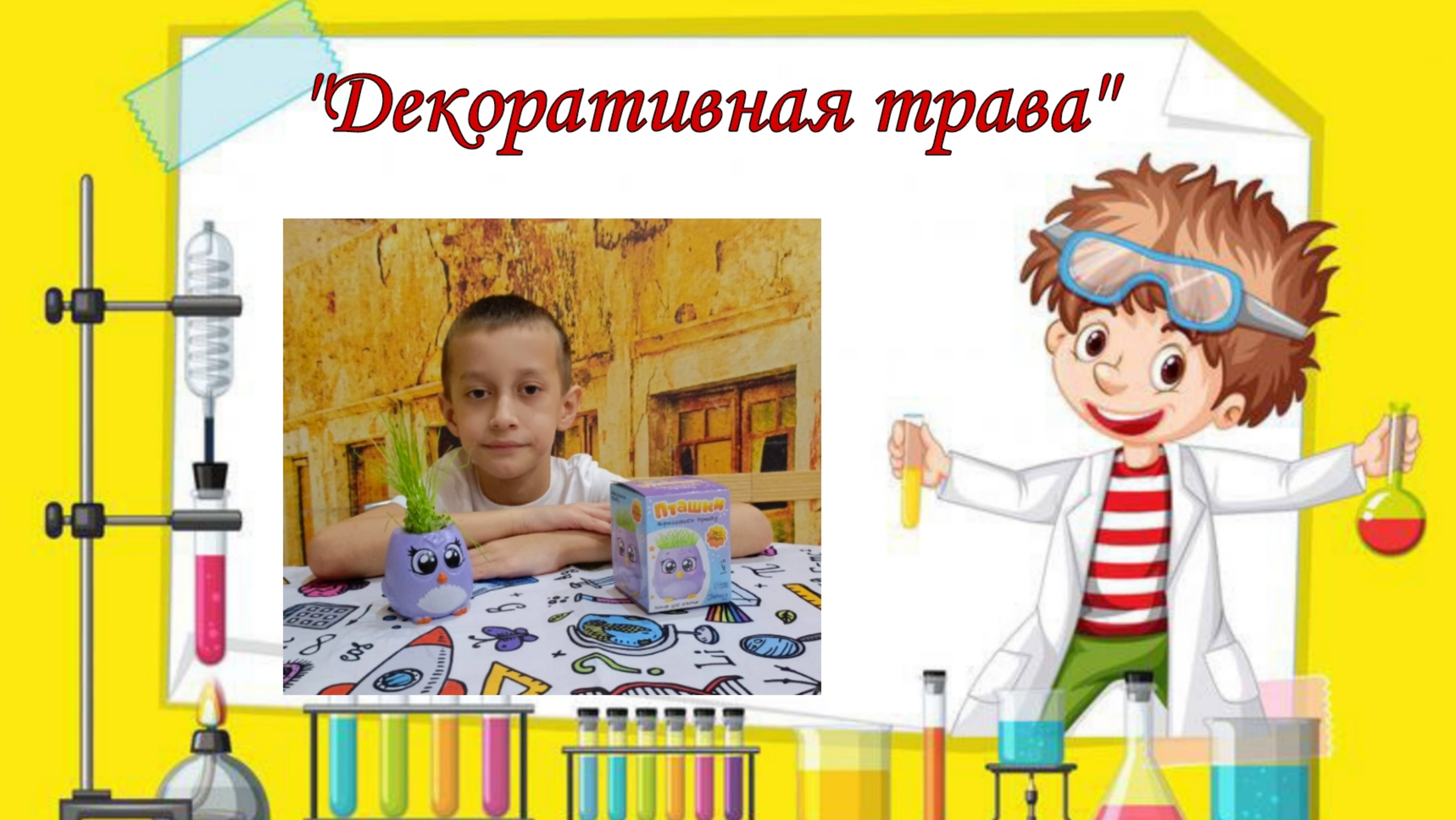 "Декоративная трава"