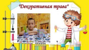 "Декоративная трава"