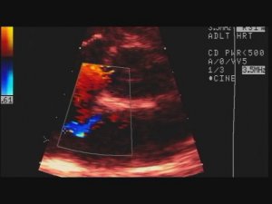 Открытое овальное окно