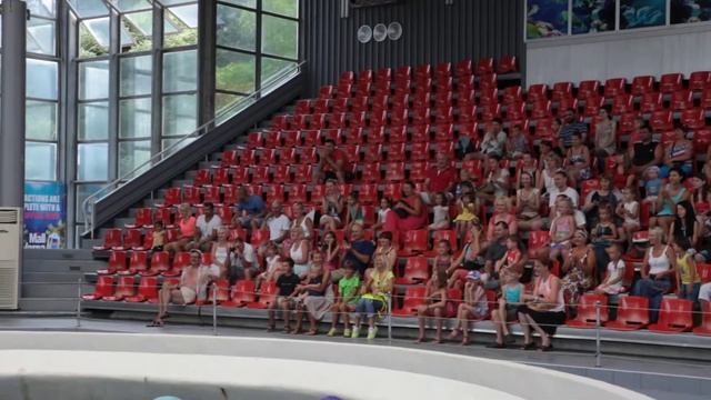 Varna, Dolphinarium 15.07.2013 part5 (football) смотреть онлайн