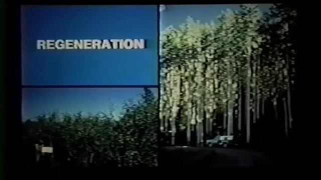 Cottonwood and aspen: managing for balance, ecology, and management (Part 2) смотреть онлайн