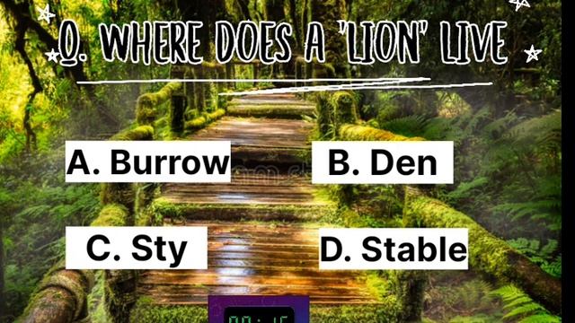 MY QUESTION IS. WHERE DOES A 'LION' LIVE.//ANSWER SEND TO COMMENT.//FAZAN 99//