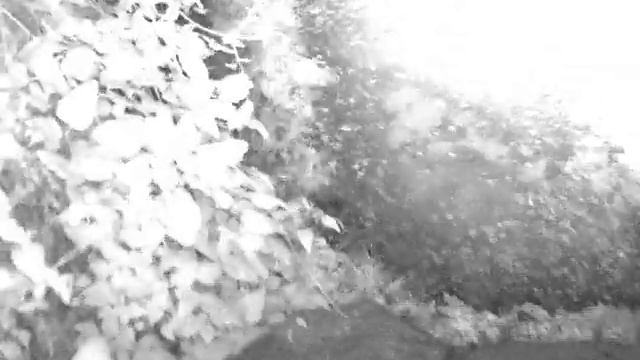 Vinters park ghost hunt with IR camera смотреть онлайн