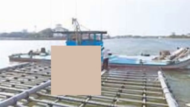 Индонезия South Sea Pearl Farm Outlet & Taitian Pearl дүңүнөн сатуу - Phn/WA: +6287865026222 смотреть онлайн