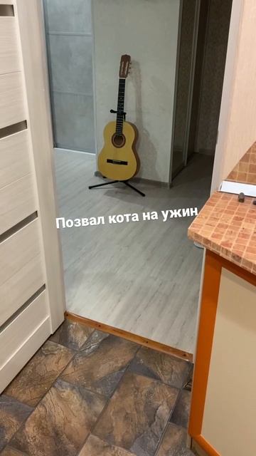 Позвал кота поужинать ) не забывай подписаться и поставить лайк ) смотреть онлайн