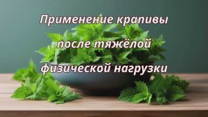 Крапива_после_физической_нагрузки (Часть 2)