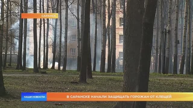 В Саранске начали защищать горожан от клещей