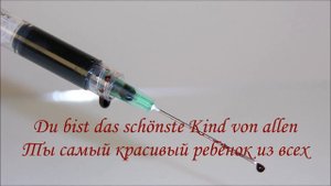 Rammstein Kokain Lyrics Текст песни и перевод
