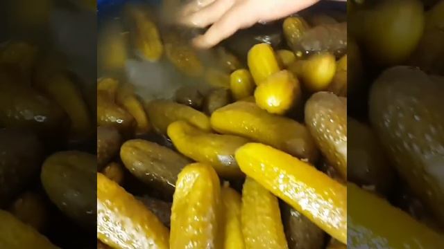 Соленые огурцы смотреть онлайн