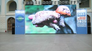 Что можно найти на дне? Подводные находки морей и высокогорных озёр на Moscow Dive Show
