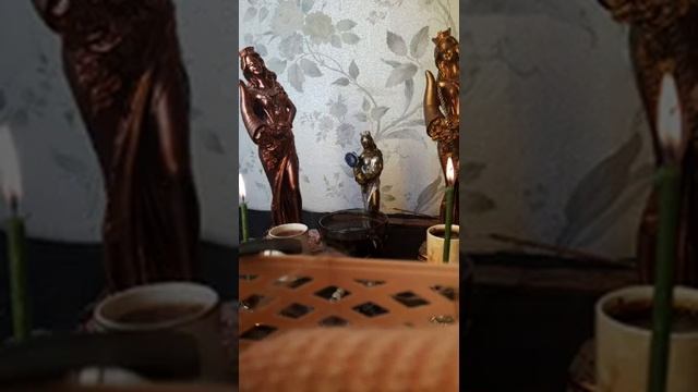 ЭТО ПРОСТО НЕВЕРОЯТНО!..ВИДЕО ОТ КСЕНИИ...АВТОР ИНГА ХОСРОЕВА. смотреть онлайн