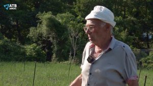 НОВОСТИ БОЛЬШОЙ АЛУШТЫ. "Ялтинский" лук из села Запрудное