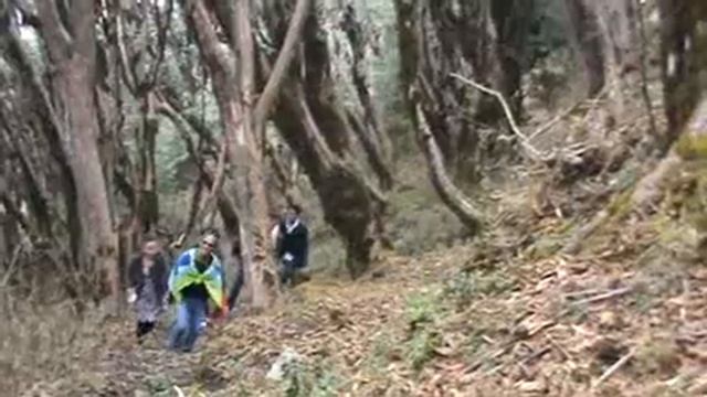 limbuwan idols musical tourtinjure