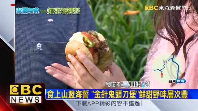 淑麗趴趴GO X 淑麗山之盛宴 欣賞浪漫平地金針花 @newsebc смотреть онлайн