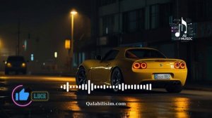 Electric Dance Fever🎧 Bass Boosted 🔥Best of EDM 2024 🔥 DJ Remix🔥 Car - House - Party 🔥 AI Music