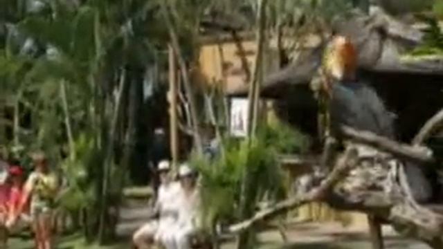 Bali Bird Park