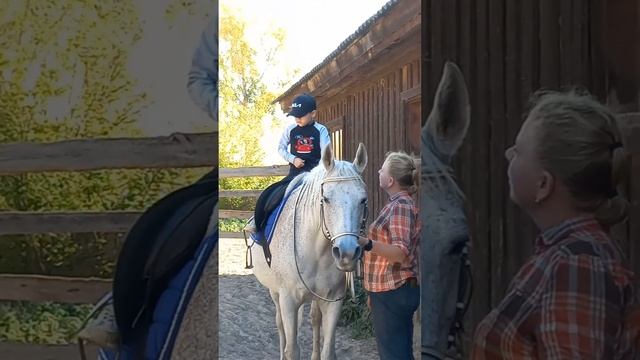 первый раз верхом на лошади смотреть онлайн