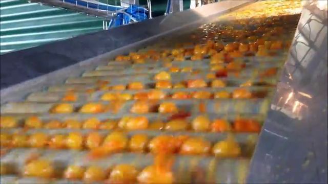 Yellow Cherry Tomato Steam Peeler season 2013 смотреть онлайн