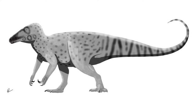 maip macrothorax смотреть онлайн