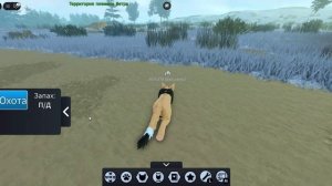 Полный гайд для новичков в КВ