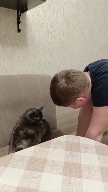 нелегалы как с ними бороться😡