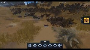 -/Где найти все тыквы в котах воителях роблокс? Wcue/-