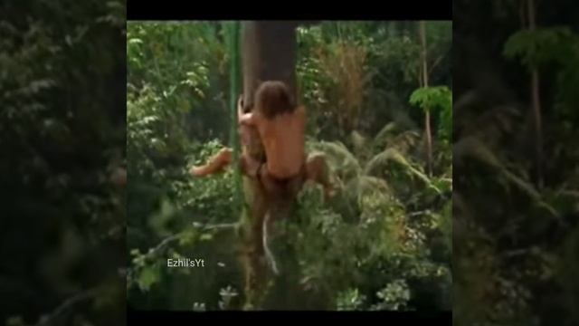 george on the jungle funny lion vs george scene🤣😂#shorts#Ezhilsyt#jungle#shorts#Ezhilsyt смотреть онлайн