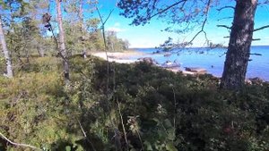 Энгозеро. Ягодный остров. день2.