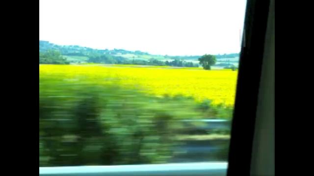 CHE SUDAKA 10 AÑOS смотреть онлайн