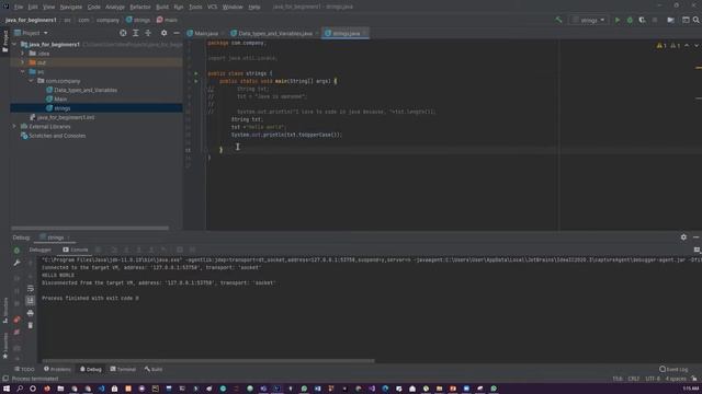 Java For Beginners Module-3 Strings Arrays and Arithmetic Expressions  Omni academy.