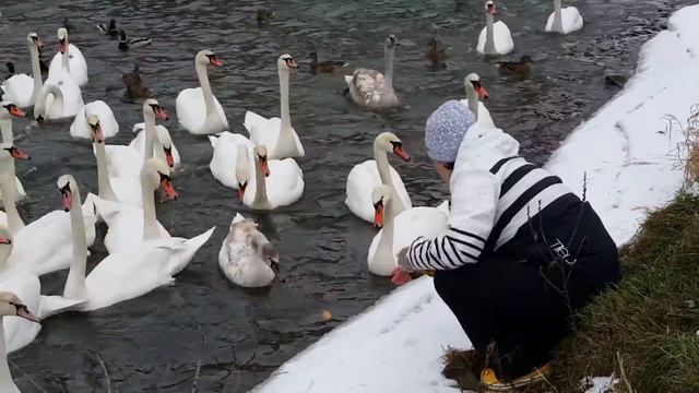 Маришка и гуси лебеди. смотреть онлайн