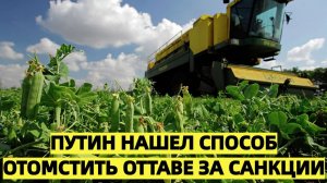 Канада в шоке: Россия и Китай перекраивают аграрный рынок Оттавы в ответ на санкции
