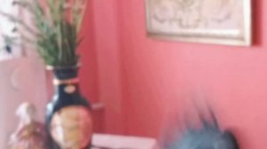 Каркуша наглеет.🤣😃🙃🦅💖💕🕊