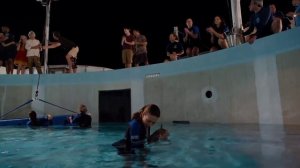 ИСТОРИЯ ДЕЛЬФИНА 2