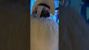 restaurant ruski, Moskwa, ресторан москва руки