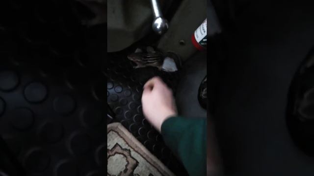 спас бурундука от холода Усть-Илимск смотреть онлайн