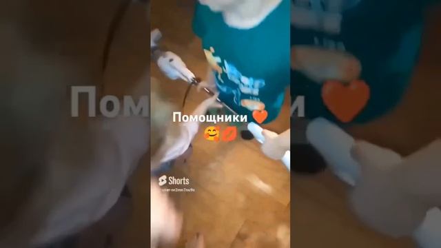 мамины помошники ❤️❤️🔥🥰💋😘😍
