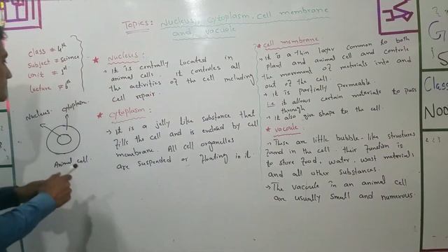 What are Nucleus , Cytoplasmic , Cell membrane and Vacuole in Pashto lecture смотреть онлайн